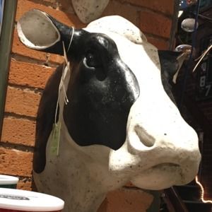 Meet your Posher, Susie